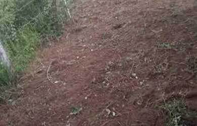 Imagem: O terreno possui 45m² de Área e está localizado em Pajuçara