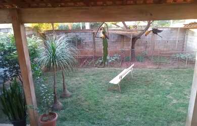 Imagem 12: Vendo essa casa. Varanda, Área de serviço, 250m² de Áreae3 Vagas na...