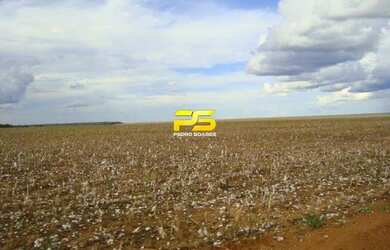 Imagem: A fazenda possui 90.000m² de Área, Churrasqueira e está