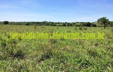 Imagem 7: Sítio 2,50 hectares, muita água, entre Uberlândia e Monte Alegre