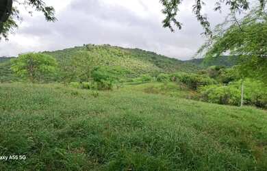 Imagem 7: FAZENDA EM BOA VISTA DO TUPIM - 1200 TAREFAS