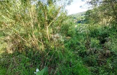 Imagem 9: Terreno urbano no bairro Nossa Senhora das Graças em Caxias do Sul