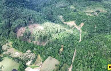 Imagem 3: Sítio / Chácara para Venda em Nova Petrópolis, Arroio Paixão