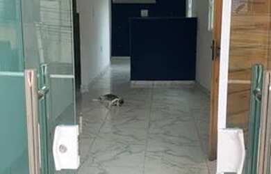 Imagem: A casa possui 2 Dormitórios, 2 Banheiros, 65m² de Área e