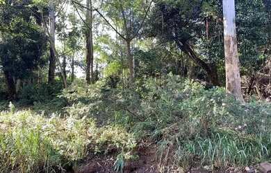 Imagem 4: 114971 CHACRINHA OU TERRENO RURAL NA BEIRA DO RIO COM FIBRA ÓTICA , LUZ...