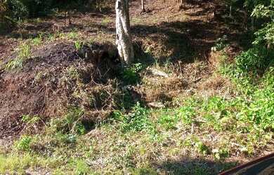 Imagem 1: Terreno. 12m² de Área