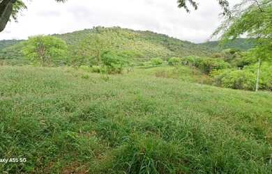 Imagem 14: FAZENDA EM BOA VISTA DO TUPIM - 1200 TAREFAS