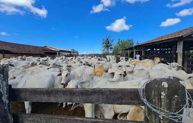 Imagem: A fazenda possui 1.404.000m² de Área e está localizado em