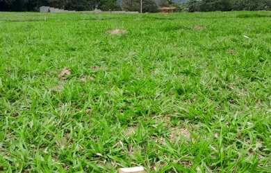 Imagem: O terreno possui 1000m² de Área e está localizado em Mairinque