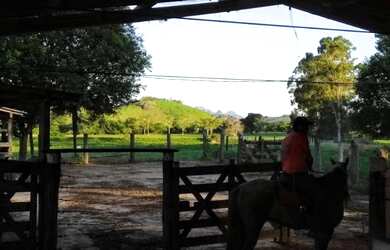 Imagem 7: Fazenda 120 Alqueires - Fundão