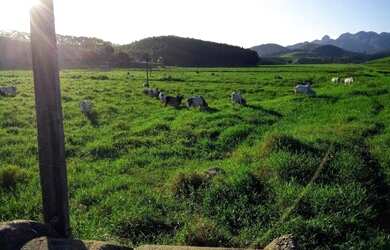 Imagem 4: Fazenda 120 Alqueires - Fundão