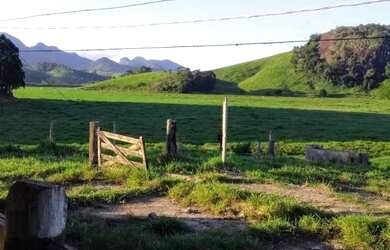 Imagem 6: Fazenda 120 Alqueires - Fundão