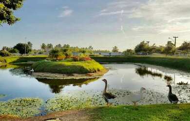 Imagem: O terreno e está localizado em Treze de Julho, Aracaju à venda