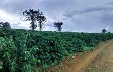 Imagem: A casa possui 2 Dormitórios, 2 Banheiros, 100m² de Área e