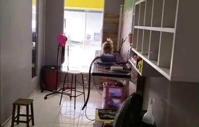 Imagem 7: Pet shop. 