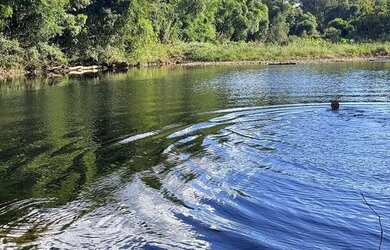 Imagem 11: 114971 CHACRINHA OU TERRENO RURAL NA BEIRA DO RIO COM FIBRA ÓTICA , LUZ...