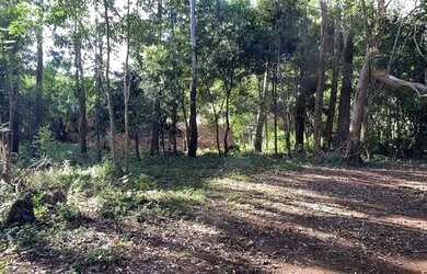 Imagem 7: 114971 CHACRINHA OU TERRENO RURAL NA BEIRA DO RIO COM FIBRA ÓTICA , LUZ...