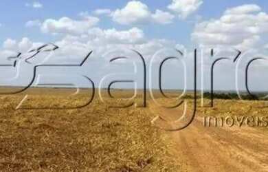 Imagem 5: Fazenda à Venda, 320000 M² Por R$ 700.000.000,00 - Zona Rural - Brasnorte/mt