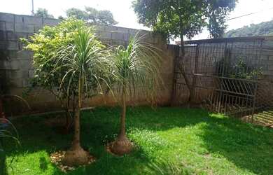 Imagem 13: Vendo essa casa. Varanda, Área de serviço, 250m² de Áreae3 Vagas na...