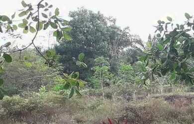 Imagem: O terreno possui 150m² de Área e está localizado em Itapera