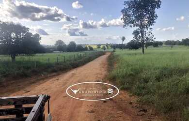 Imagem: A fazenda está localizado em Jussara, GO à venda por R$6.900.000