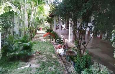 Imagem 5: Fazenda em Saltinho - Centro - Saltinho/SP