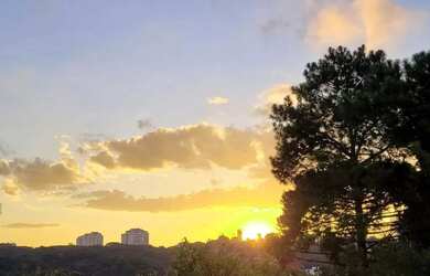 Imagem 7: Apartamento - 4 quartos - Venda - Bairro Ecoville - BELLOS IMÓVEIS