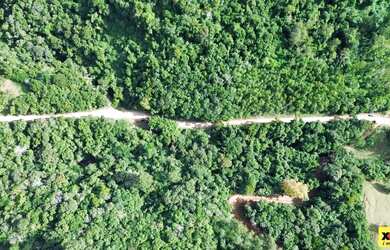 Imagem 5: Sítio / Chácara para Venda em Nova Petrópolis, Arroio Paixão