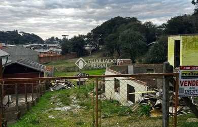 Imagem 4: Terreno à venda no Villa Maggi Canela/RS