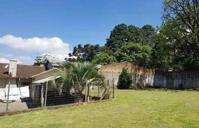 Imagem 3: Terreno - Bairro Centro