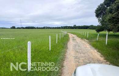 Imagem: A fazenda possui 2.900.000m² de Área e está localizado em