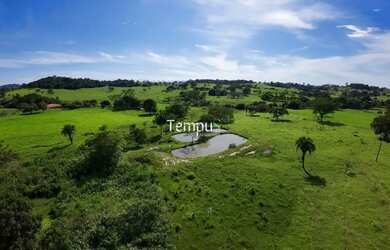 Imagem: Fazenda 3 alqueires em Anicuns - Excelente para plantio