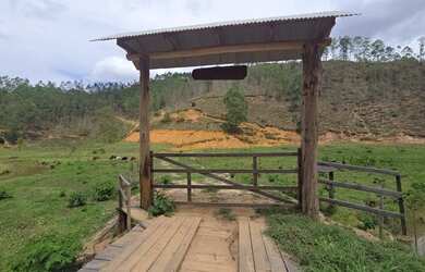 Imagem 7: Sítio entre 2.000m2 e 6.700m2, Domingos martins, Montanhas Capixabas,...