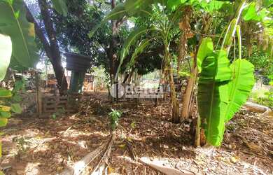 Imagem 3: Área disponível para venda 6.745 m² no bairro Chácaras Tubalina e Quartel em Uberlândia-MG