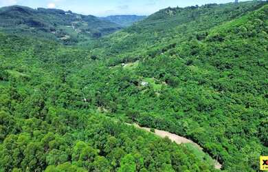 Imagem 16: Sítio / Chácara para Venda em Nova Petrópolis, São Jacó