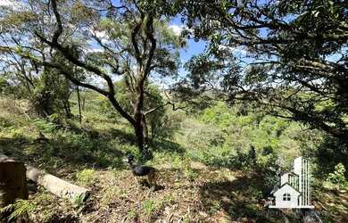 Imagem 7: Fazenda com 11.000m2 e cachoeira no meio, em Casa Branca - Brumadinho...