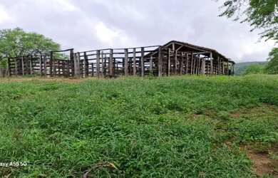 Imagem 6: FAZENDA EM BOA VISTA DO TUPIM - 1200 TAREFAS