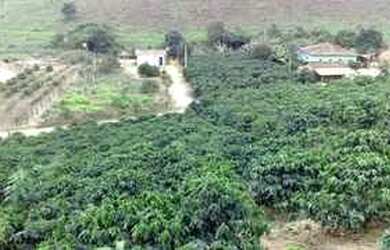 Imagem 2: Terreno em Pancas. 100m² de Área, 2 Banheirose2 Dormitórios