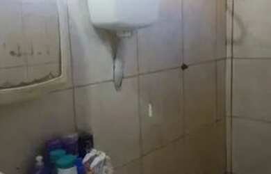 Imagem 11: Vendo duplex no Siqueira