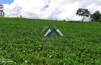 Imagem 1: Sítio à venda, 484000 m² por R$ 8.000.000,00 - Jardim Alto da Boa Vista...