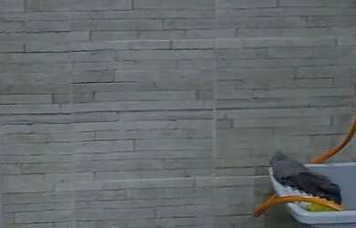 Imagem 8: Imóveis. 1 Vaga na garageme2 Dormitórios