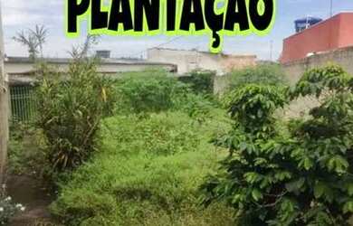 Imagem 2: Aluga-se ou vende. 260m² de Área, 1 Vaga na garageme1 Dormitório
