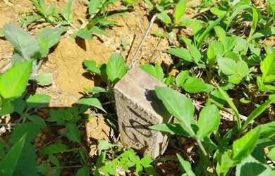 Imagem: Lote 300 MTS com 15 de frente Caná do Reino condomínio a 1.300