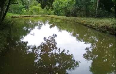 Imagem: A chácara possui 24.200m² de Área e está localizado em