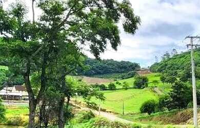 Imagem 8: Sítio / Chácara para Venda em Nova Petrópolis, Nove Colonias