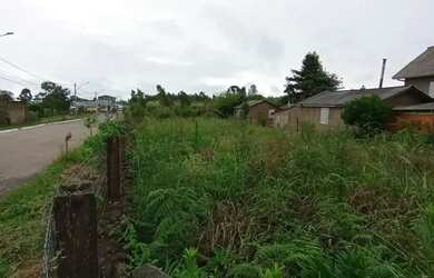 Imagem 8: Terreno - Bairro São José