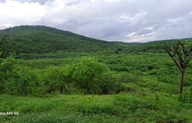 Imagem 3: FAZENDA EM BOA VISTA DO TUPIM - 1200 TAREFAS