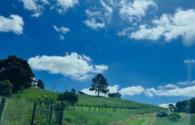 Imagem 10: Lote com vista para lago Terreno venda tem 500 metros quadrados em Lageadinho - Ibiúna - S
