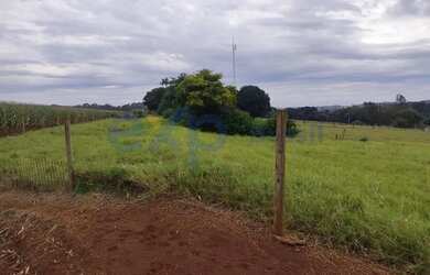 Imagem 3: Chácara em Santa Terezinha de Itaipu - PR