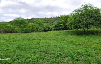 Imagem 12: FAZENDA EM BOA VISTA DO TUPIM - 1200 TAREFAS